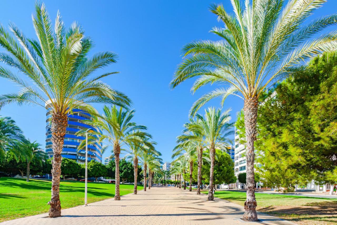 Cala Alta Sunny Apartment بينايدورم المظهر الخارجي الصورة